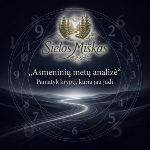 Asmeninių metų numerologinė analizė