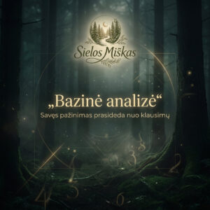 Bazinė numerologinė analizė